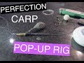 perfection carp  popup rig