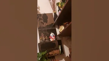 Кешка Гешка 
