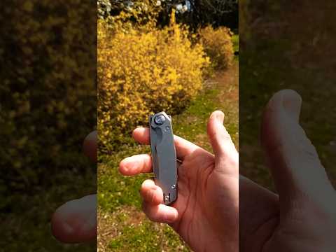 Walk N Flick - Kunwu Compact Tao