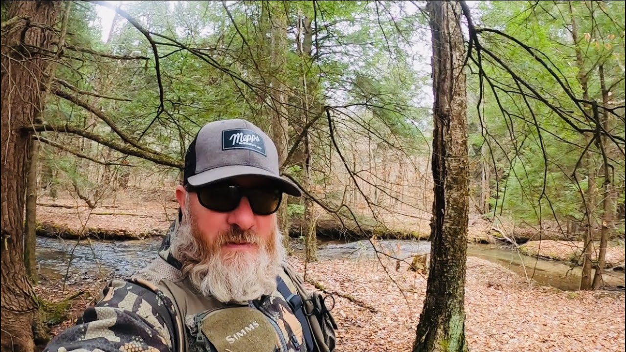 Trout Fishing Pennsylvania Freestone Streams For Big WILD TROUT 