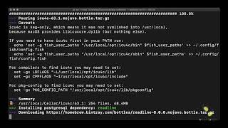Vapor Deep Drive - Step 5 - Installing PostgreSQL on macOS