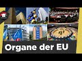 Organe Der EU Europäische Institutionen Aufgaben Merkmale Sitz Organe Der EU Erklärt