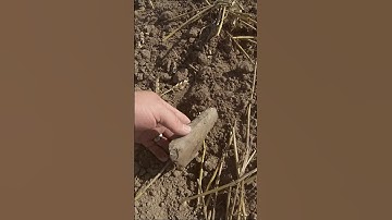 Flint Eastwood metal detector #shorts #metaldetecting #treasurehunting