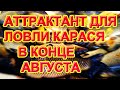 ОТЛИЧНЫЙ АТТРАКТАНТ ДЛЯ ЛОВЛИ КАРАСЯ В КОНЦЕ АВГУСТА #дмитрийбуторов #рыбалканакарася #рыбалка2023