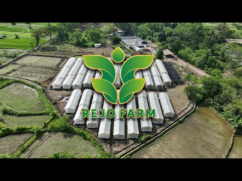 Rejo Farm Selamat datang di Rejo Farm Sosiopreneur integrated Farming, lokasi ...