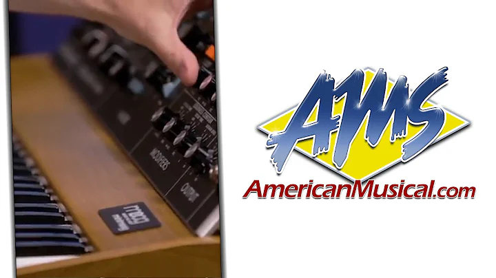 Moog Minimoog Model D Hip Hop Performance - Moog Minimoog Model D Keyboard Synthesizer