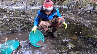 Gold Panning the Broken Bedrock!