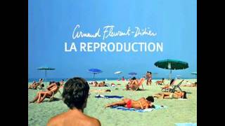 Video thumbnail of "Arnaud Fleurent Didier - Imbécile Heureux.wmv"