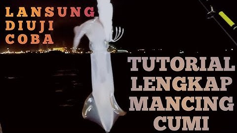 CARA MANCING CUMI 2021 (SQUID HOCK)