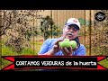 Cortando VERDURAS DE LA HUERTA en Tenango del Aire