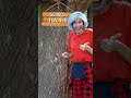 Stupid, Stupider, Stupidest English Lesson 🤣  | BachaBola #shorts #prank #students