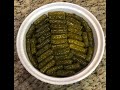 Stuffed Grape Leaves فيديو صور فقط لمقادير وطريقة محشى ورق العنب باللحمة والارز 