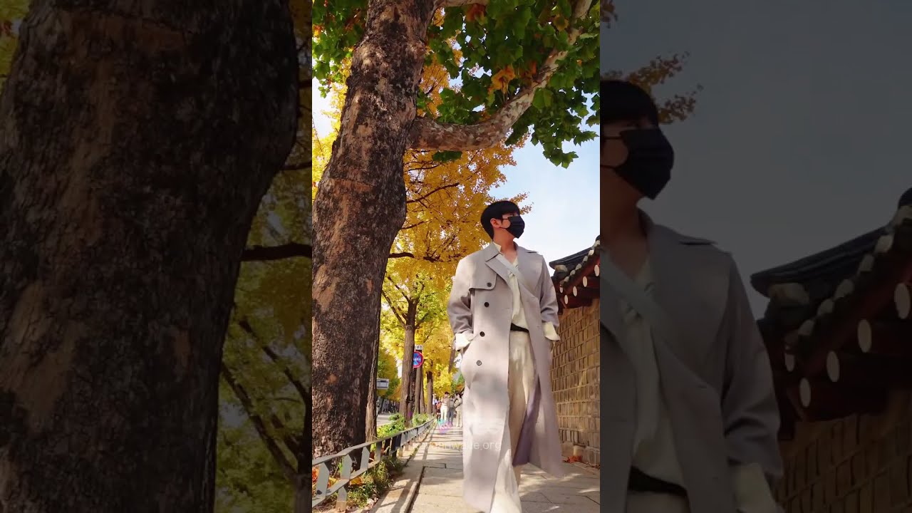 Colors of Korea in Fall @thizisdan thumbnail