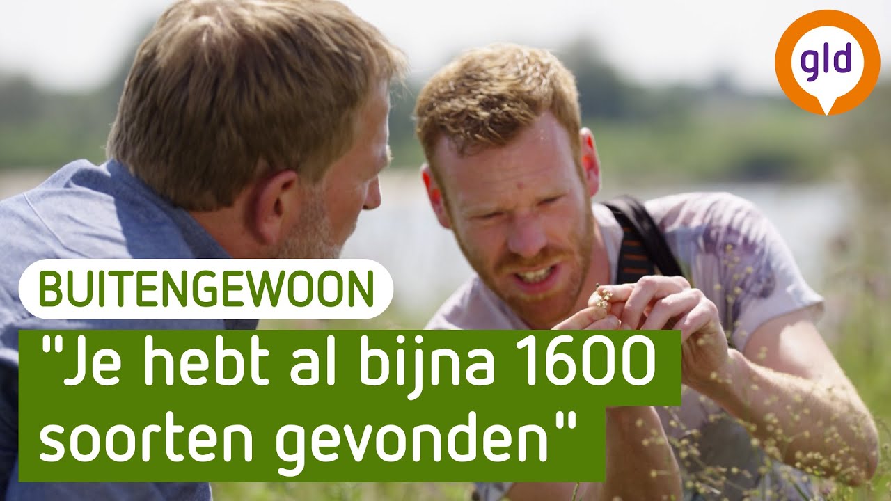 Deze soorten kan je vinden in de Gelderse Poort | BuitenGewoon