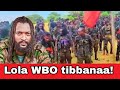 Oduu WBO N Lola Mikaa Aan Gaggeesse Jedhe Oduu WBO N Lola Mikaa Aan Gaggeesse Jedhe
