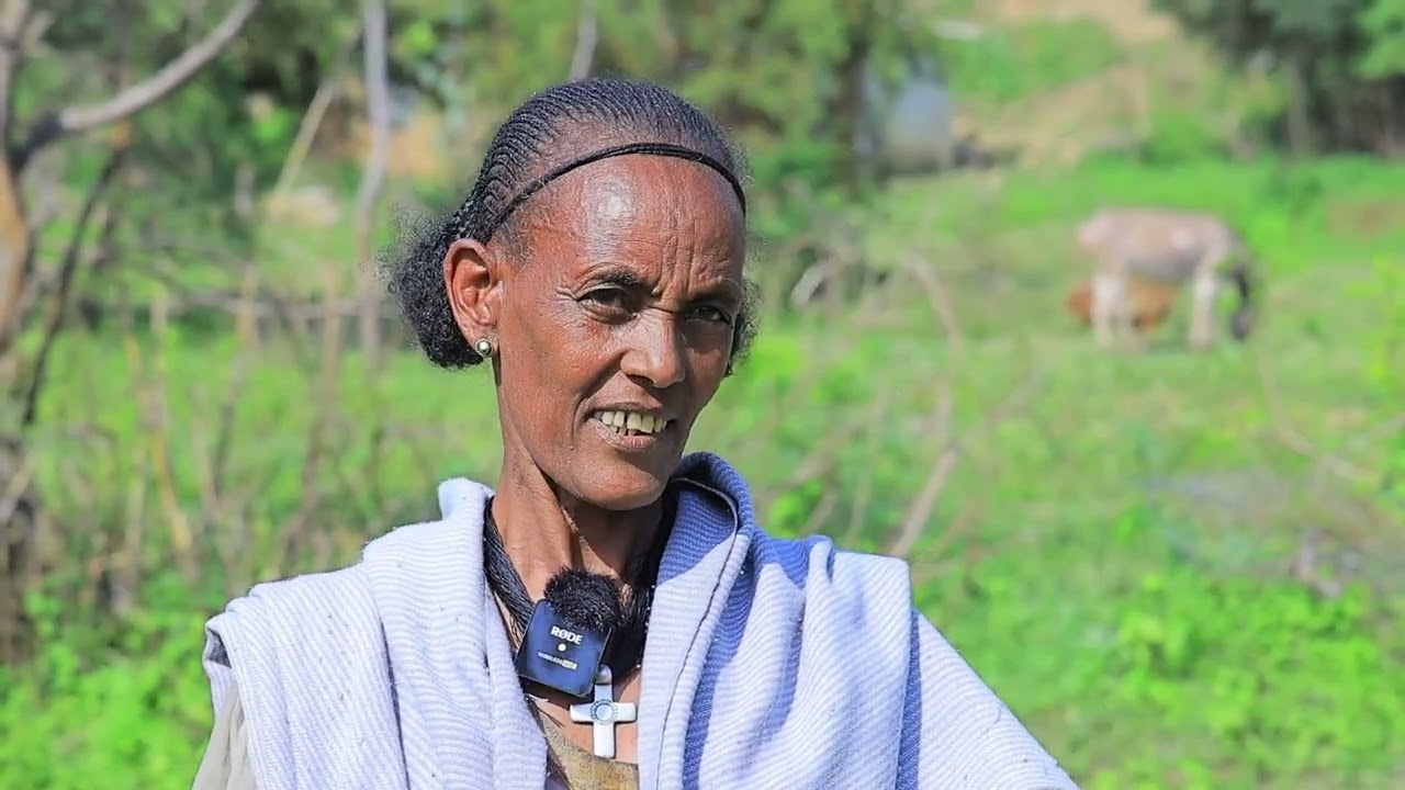 ጠዋሪት ዝረኸበት እስትንፋስ፤ ተስፋ ዝሃበን መነባብሮ ዘመሓይሽን ዘሐውይን