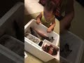 生後9カ月、魚達との触れ合い