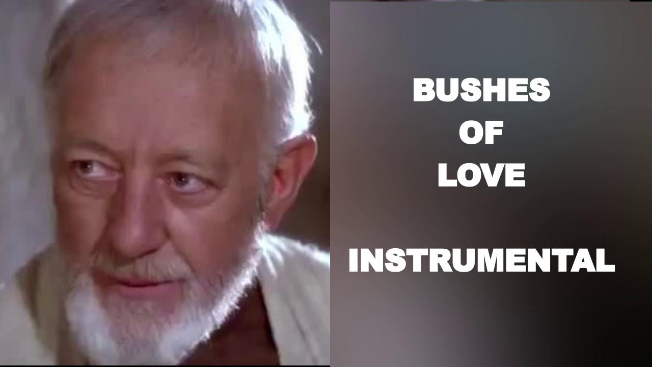 Bushes of Love Instrumental YouTube