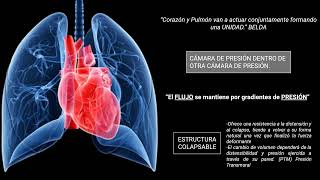 Interacción Corazón - Pulmón en Ventilación Espontanea vs Ventilación Mecánica. ROJAS