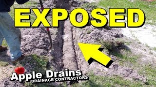 NDS Quick Drain EXPOSED, French Drain, Yard Drain after 5 Years
