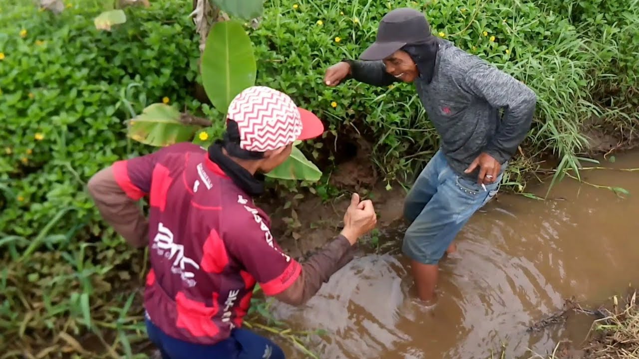 Video lucu mancing belut paling kocak