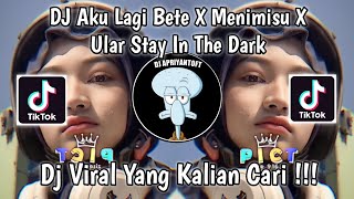 DJ AKU LAGI BETE X MENIMISU X ULAR STAY IN THE DARK TREND CEGIL NO THIS IS GANTI TEKS VIRAL TIKTOK !