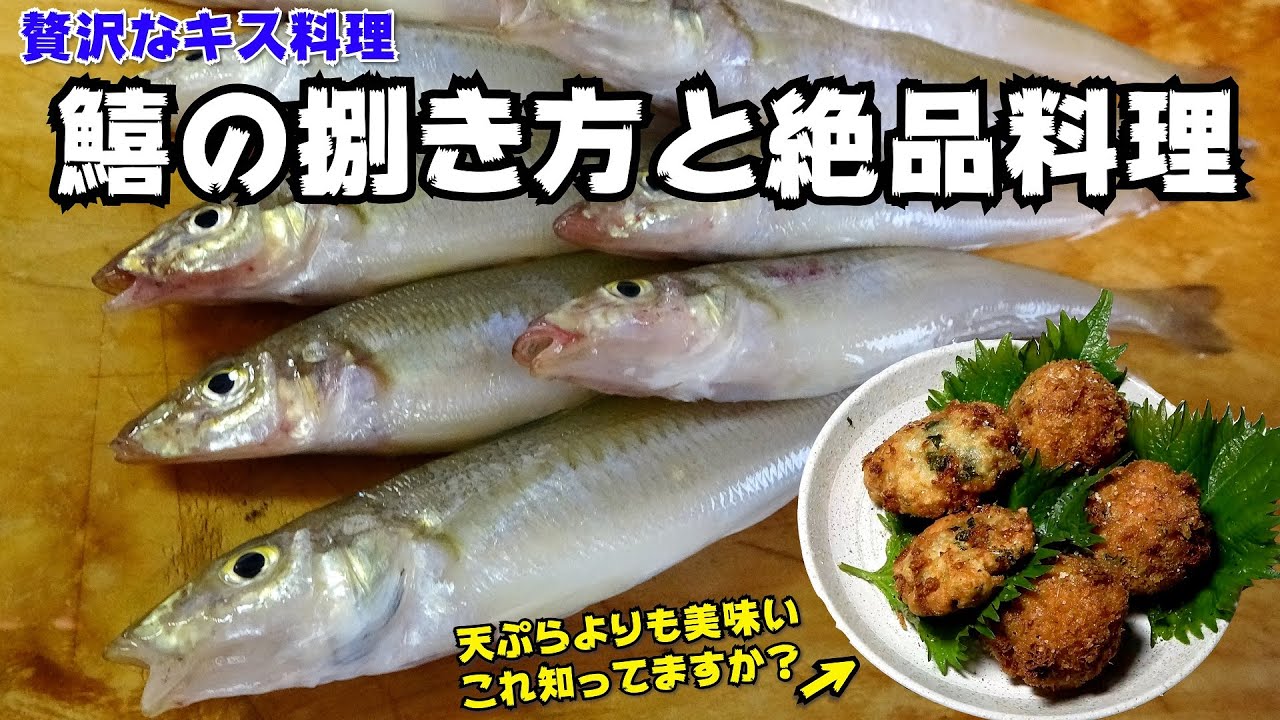 キスのさばき方 これだけは教えたくないキス料理の作り方 たぶんこの鱚料理は皆さん知りません Youtube