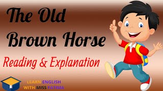 Old Brown Horse / Grade 6