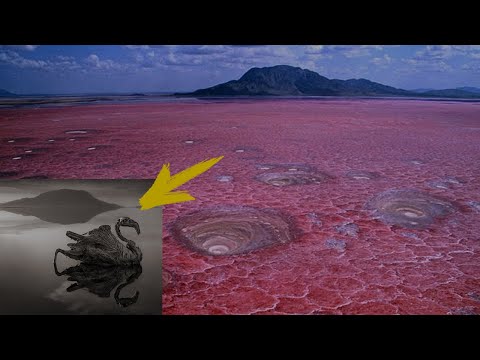 This lake turns all life into stone