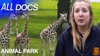 Season Premiere Special Easter Episode Animal Park All Documentary