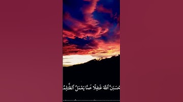 تلاوة خاشعة أخر سورة إبراهيم