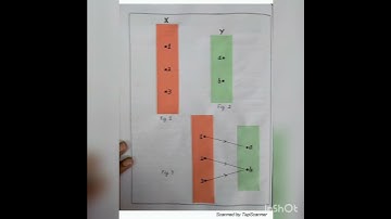 Function is not one one but it is onto Class 12 Maths Activity