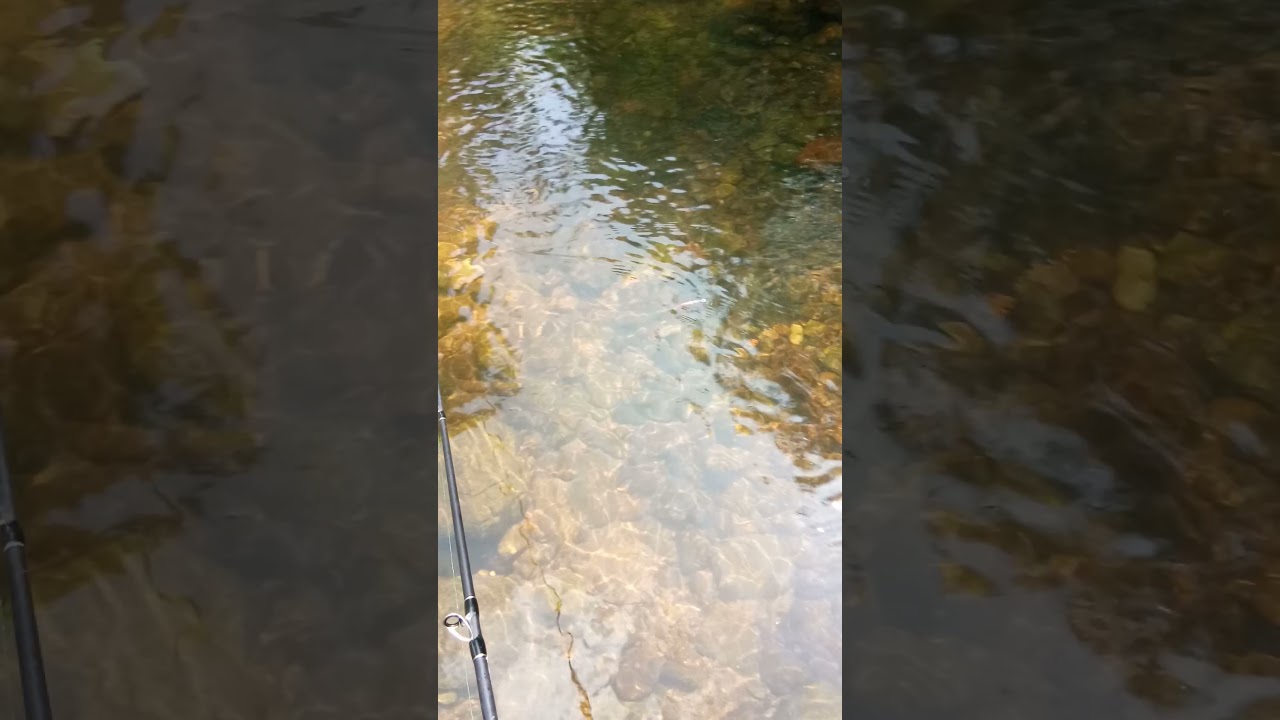 Action Minnow Handmade By BexLure