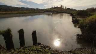 Coming Back: Restoring the Skokomish Watershed