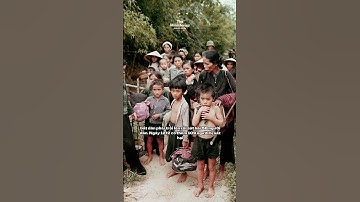 Vụ thảm sát đẫm máu của lính Hàn trong chiến tranh Việt Nam I 베트남전 당시 한국군의 유혈 학살 1966