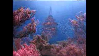 Download lagu SCTV Djarum Black