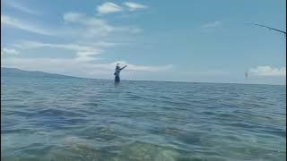 PASCOL MANIA MANCING BARBAR