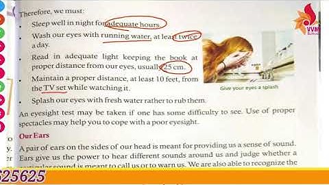 CLASS 4 EVS REVISION OF CHAP 2 WE SENSE THINGS