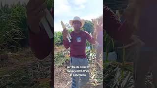 finca la esperanza