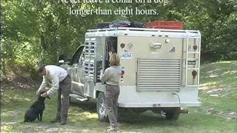 Tri-Tronics Dog Basic Training Part 1 of 2