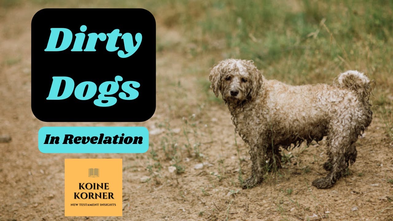 Dirty Dogs in Revelation Ep. 86 YouTube