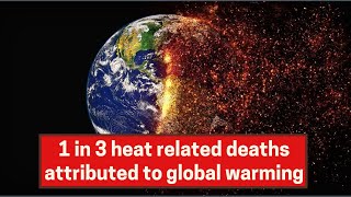 1 in 3 heat related deaths attributed to global warming
