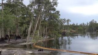 Карстовая воронка заглатывает деревья / Sinkhole swallows trees