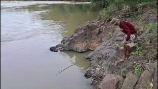 Pasang Teger Pakai Jorang Bambu Renceng, Spot Yang Paling Di Cari Para Pemancing