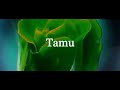 Mac voive ft rayvanny - tamu lyrics video