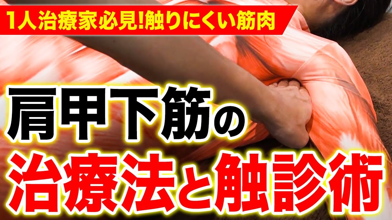 【※開業した治療家必見】肩甲下筋について理解できている？触診法と神ワザ治療テクニック！