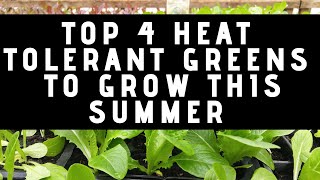 Top 4 Heat Tolerant Greens to Grow this Summer-Gardening