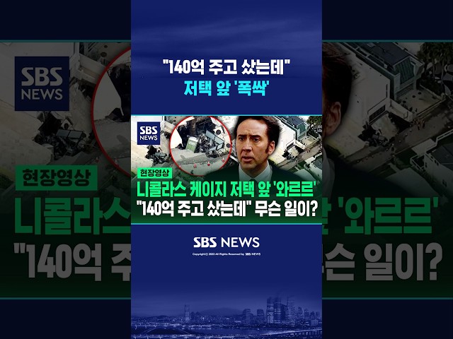 "140억 주고 샀는데" 니콜라스 케이지 저택 앞 '폭싹' #shorts