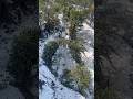 Snowflake ❄️ in chamba #vlog #shorts #snow #snowfall #chamba #yoga #snowhite #nature #mountains