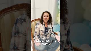 Micro Mini Sessions